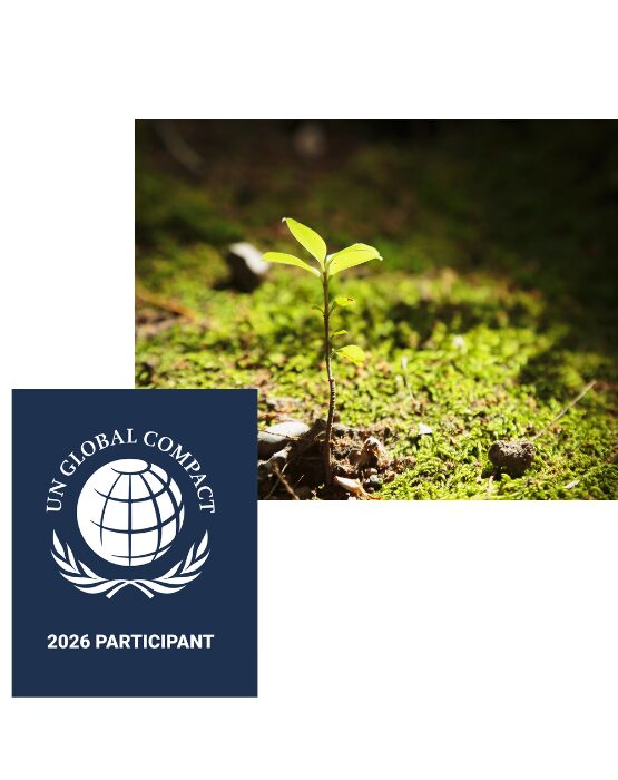 rse pacte mondial onu
